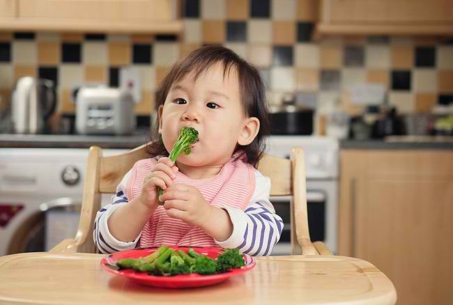 Pilihan Makanan Sehat untuk Bayi Berusia 4–12 Bulan - Alodokter