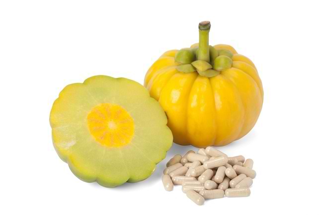 Beragam Manfaat Garcinia Cambogia Bagi Kesehatan Alodokter